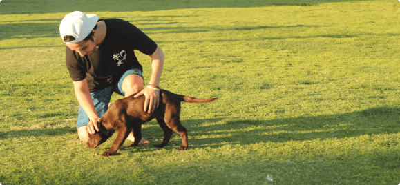 Dog Therapy