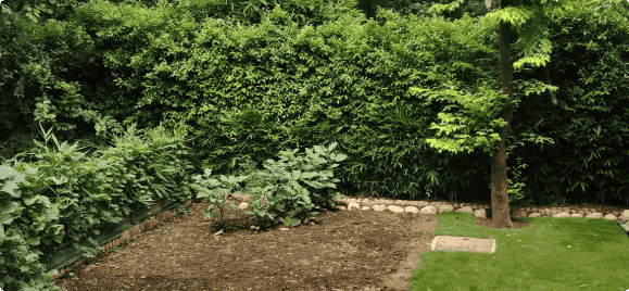 Horticulture